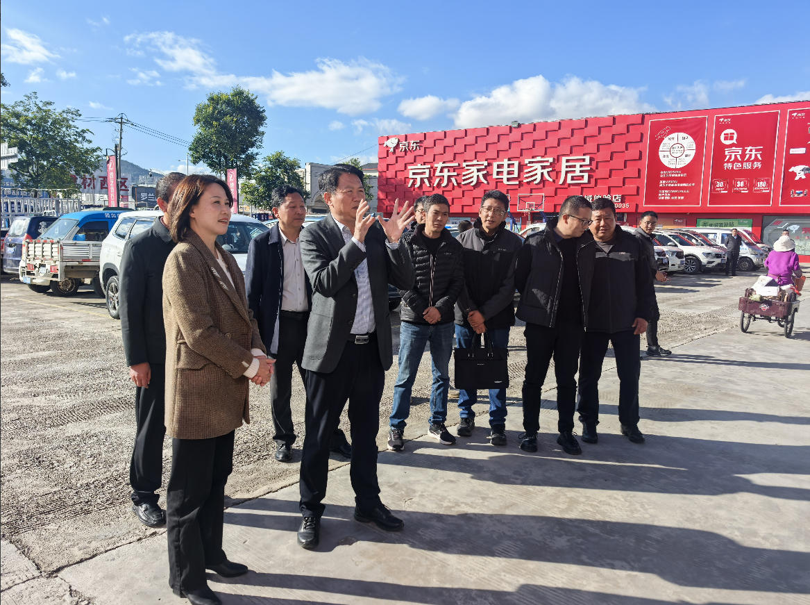 玉龙县委书记杜云林莅临嘉和城调研指导