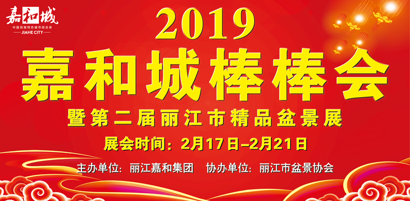 嘉和城隆重举办2019年棒棒会暨第二届丽江市精品盆景展