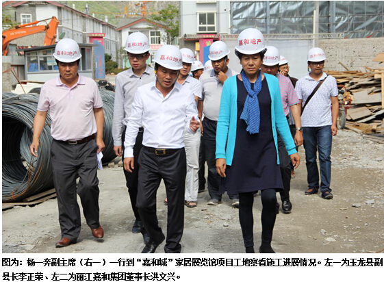丽江市政协副主席杨一奔督导嘉和城项目
