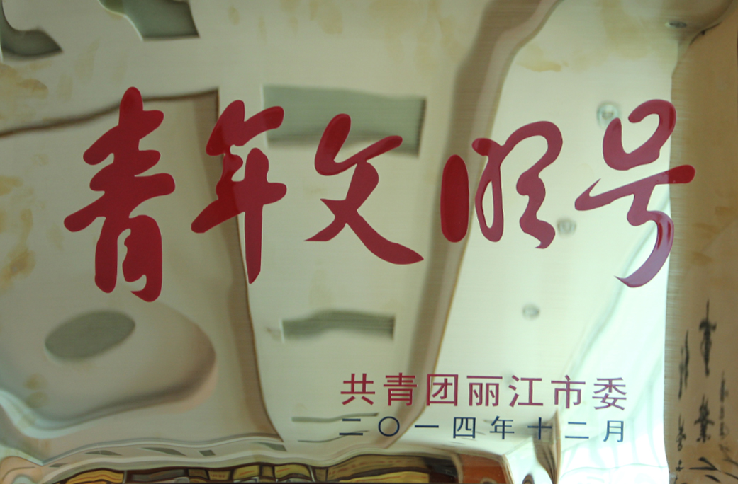嘉和集团获2014年度市级“青年文明号”荣誉
