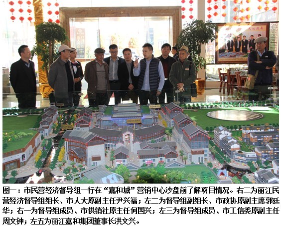 丽江市民营经济督导组到丽江嘉和集团调研