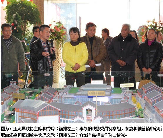 玉龙县政协组织委员视察嘉和集团