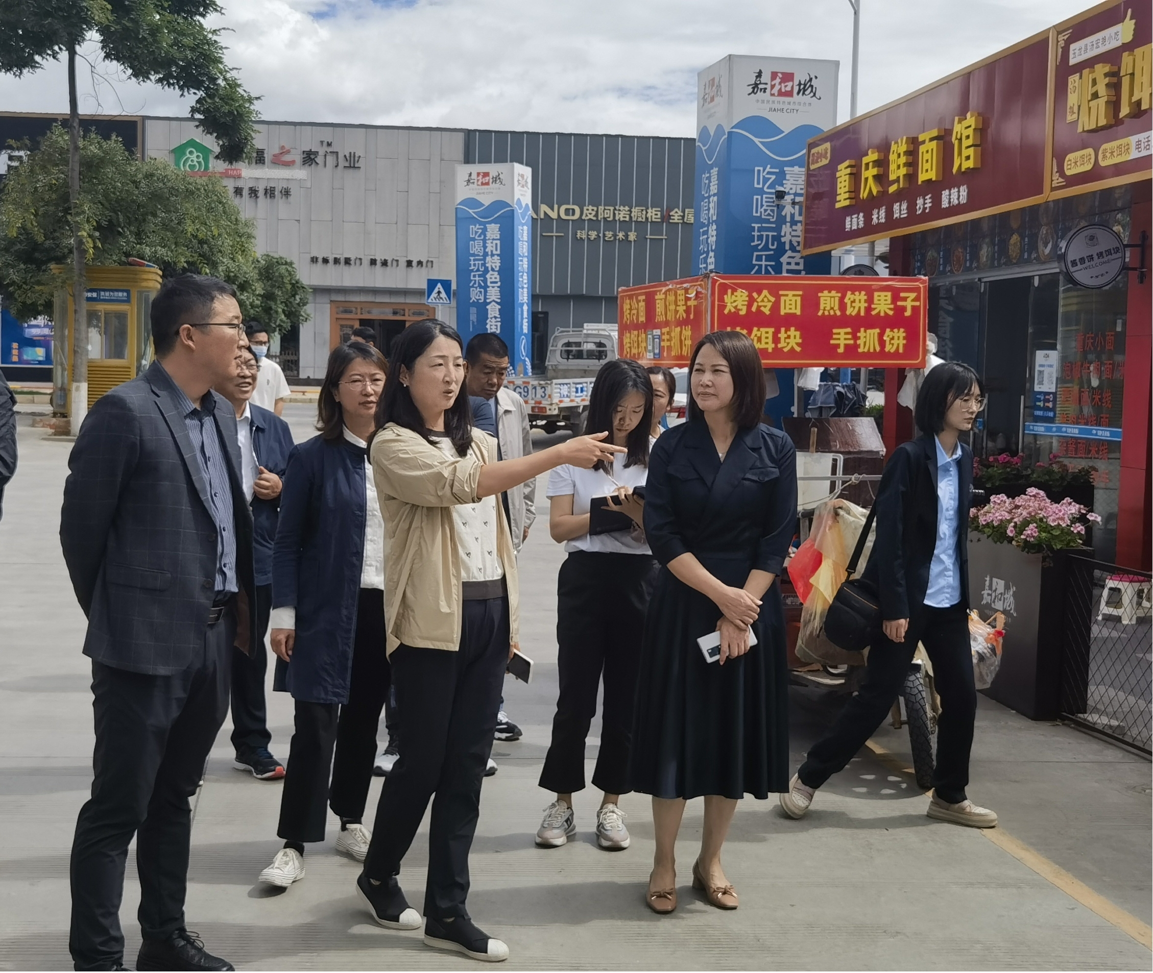 丽江市政府领导一行莅临嘉和建材城调研市容环境卫生情况